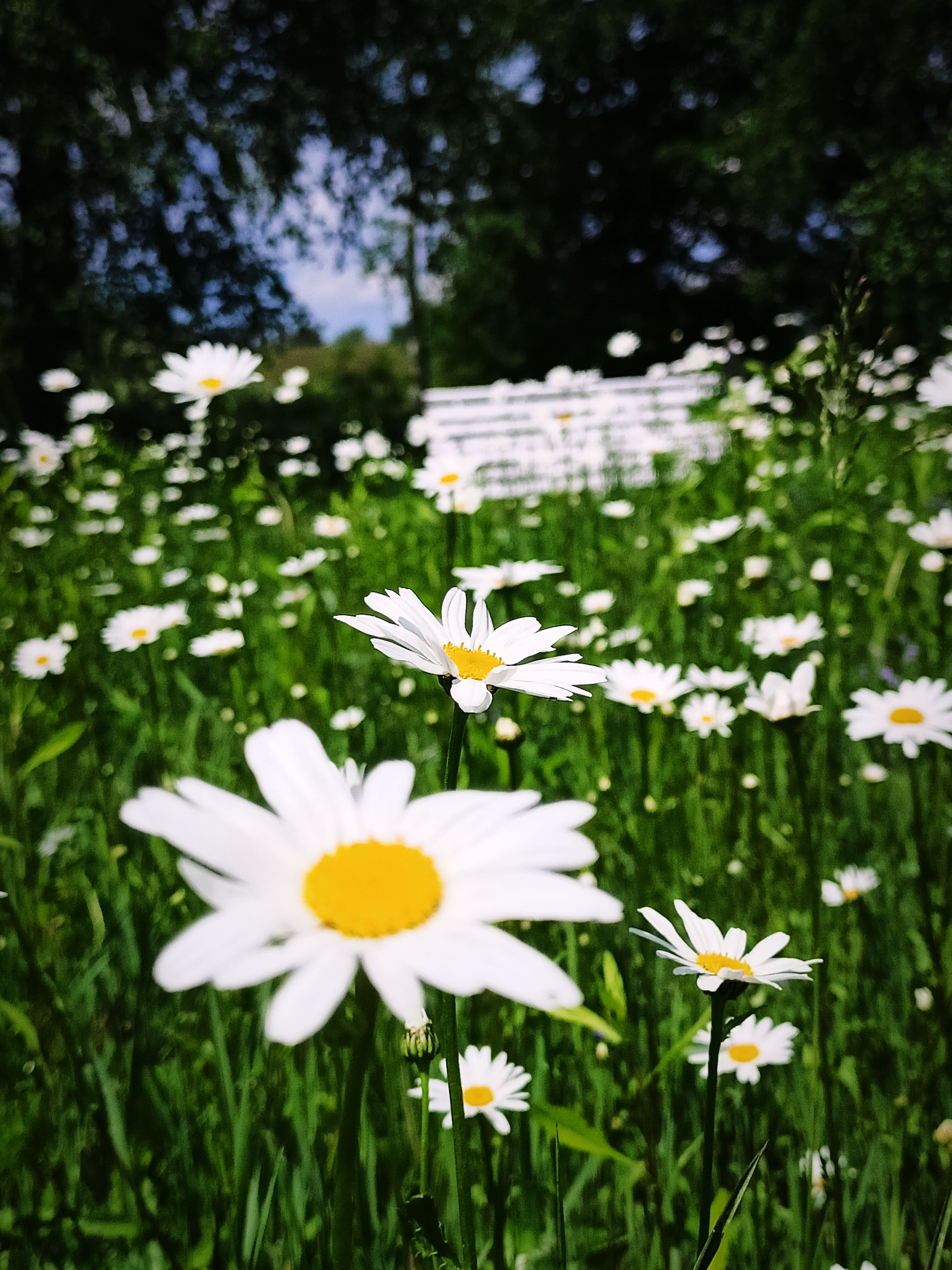 Dodatkowy widok na okolice Butterfly Factory