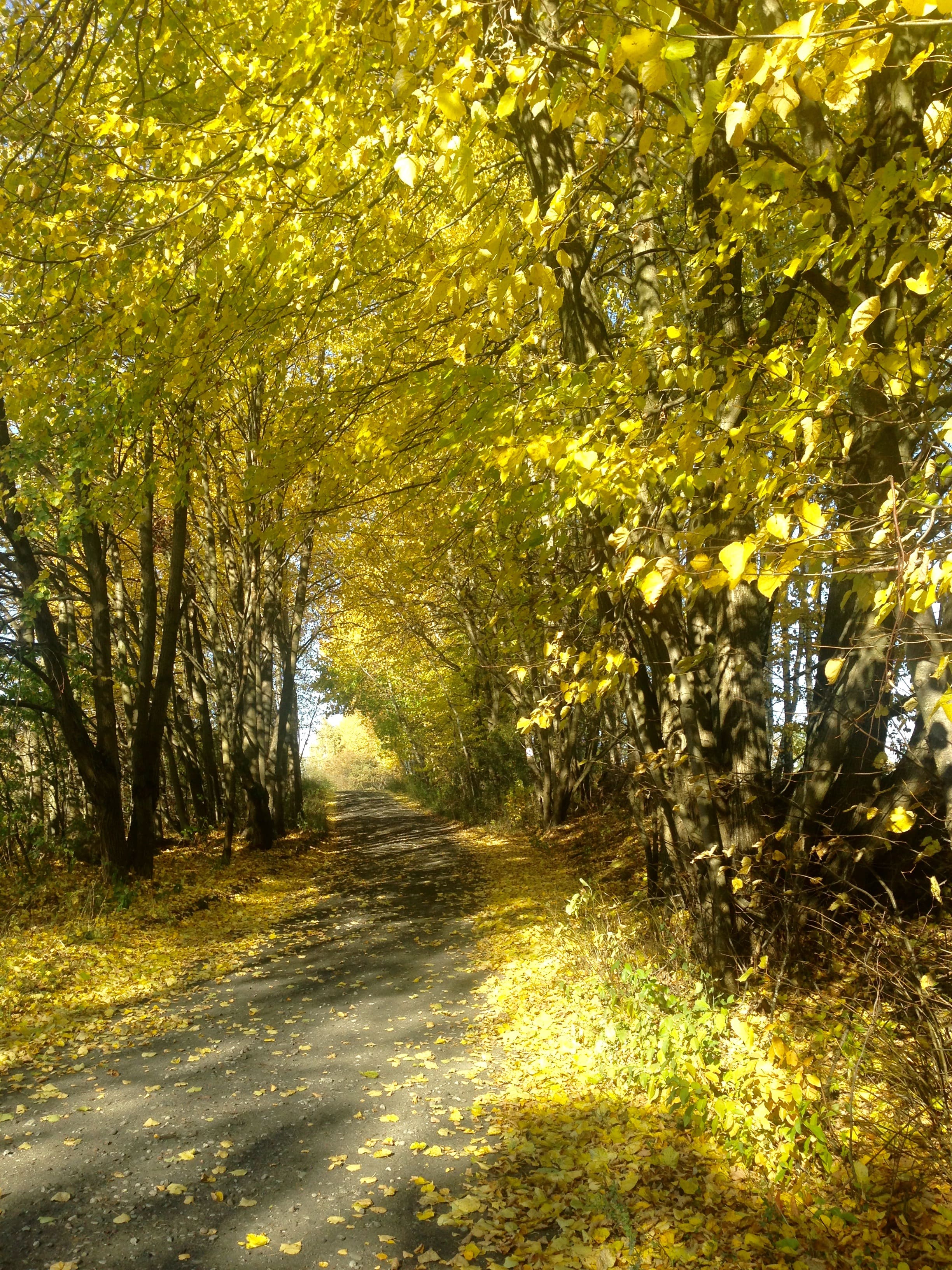 Dodatkowy widok na trasy spacerowe w okolicy