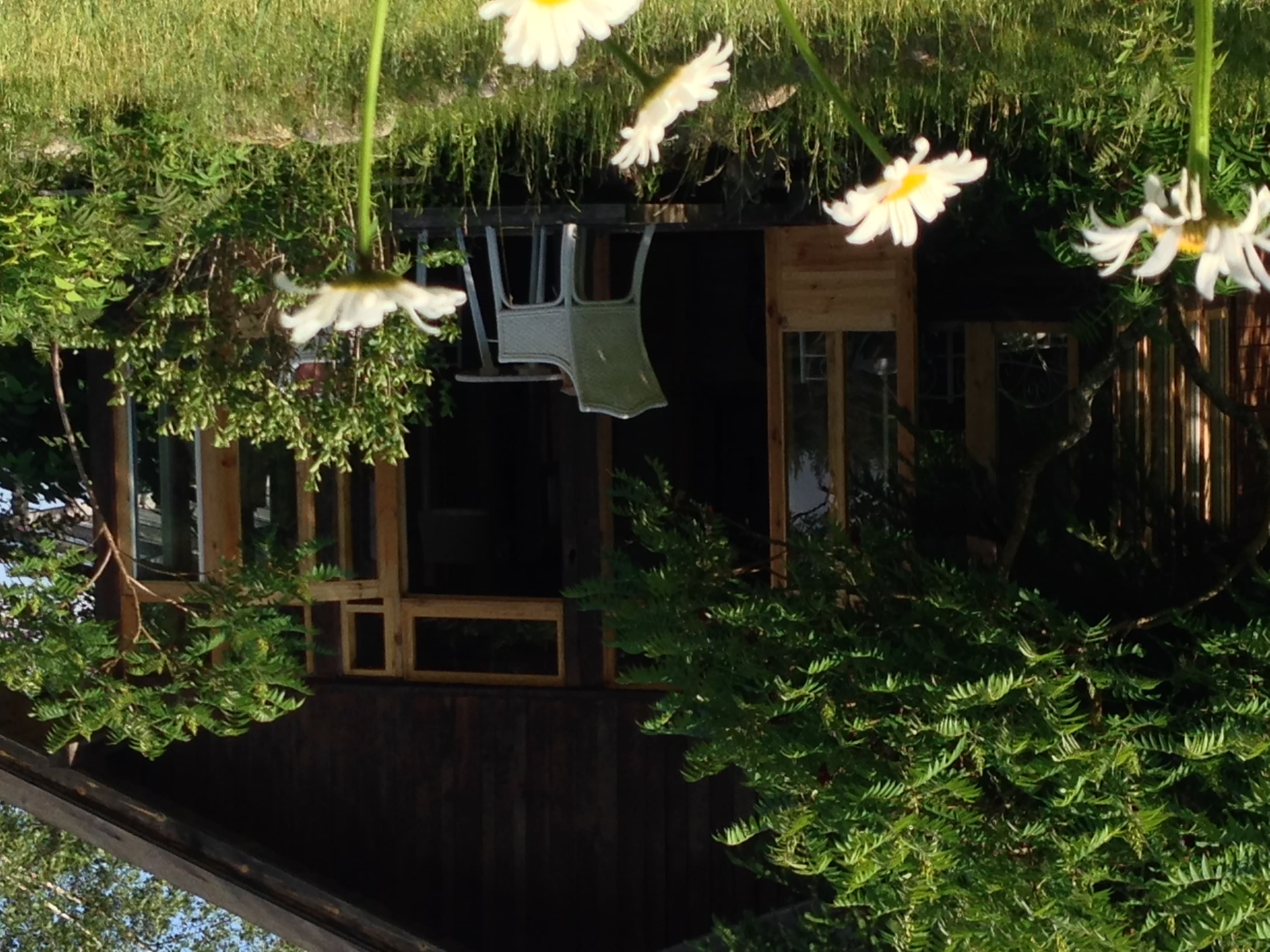 Rozległy teren z ogrodem wokół domu Butterfly Factory